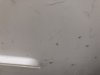 CFA74B60-2D3D-4189-90DB-971A3A316F0B.jpeg