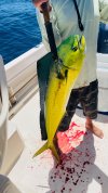 mahi 8 14 22.jpg